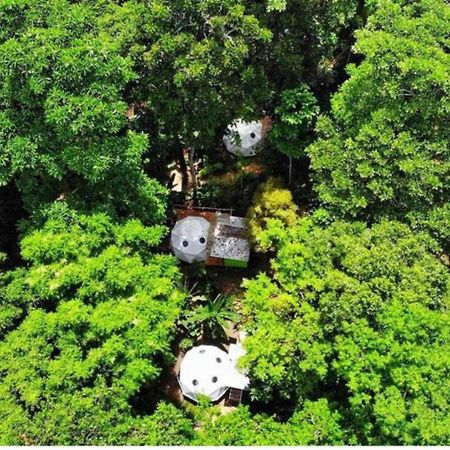 מלון מנסניו Faith Glamping Dome Costa Rica מראה חיצוני תמונה