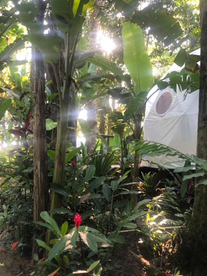 מלון מנסניו Faith Glamping Dome Costa Rica מראה חיצוני תמונה