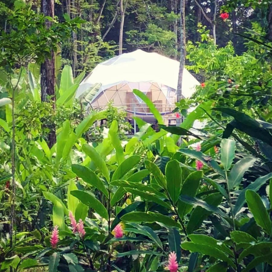 מלון מנסניו Faith Glamping Dome Costa Rica מראה חיצוני תמונה
