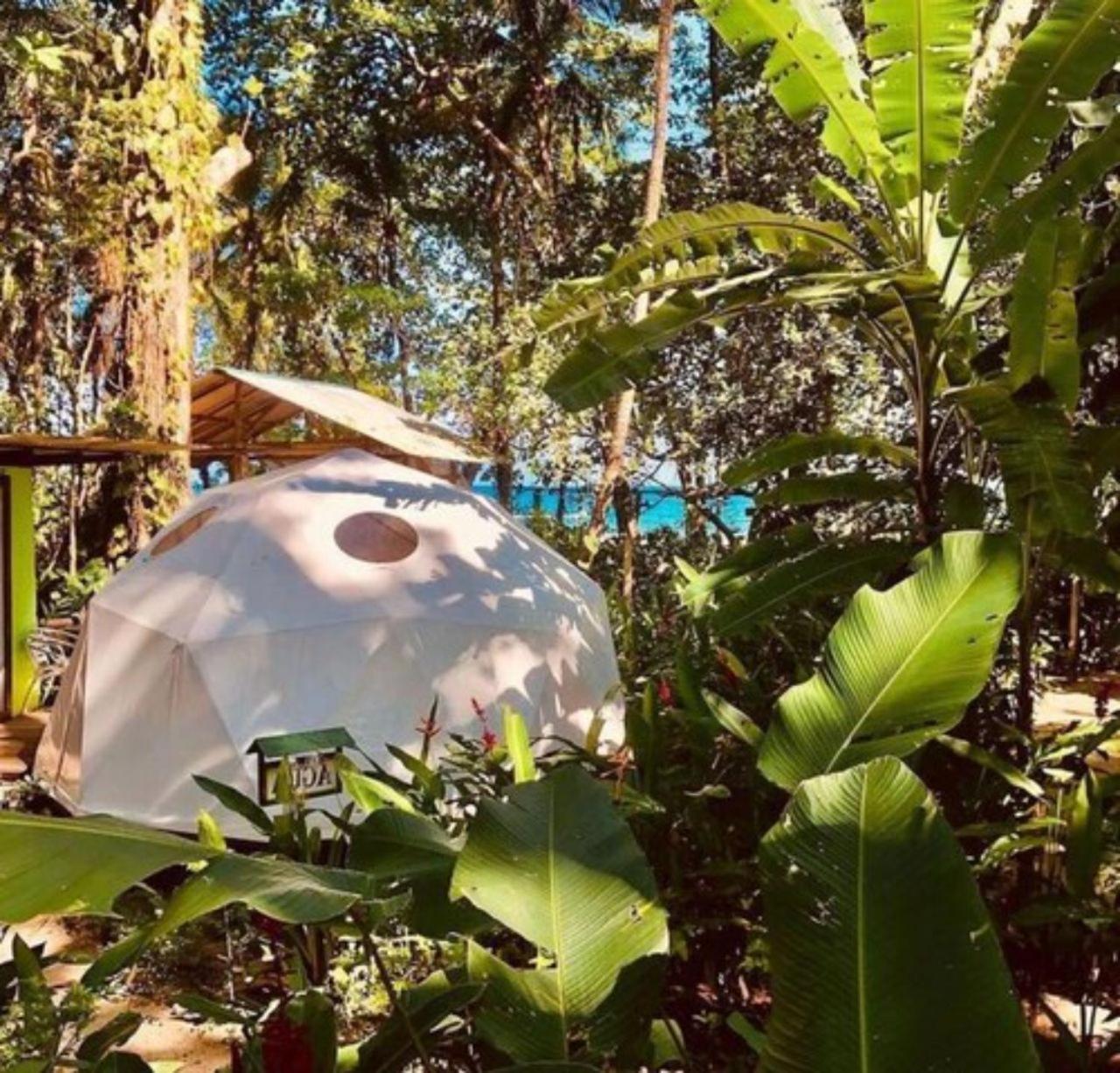 מלון מנסניו Faith Glamping Dome Costa Rica מראה חיצוני תמונה
