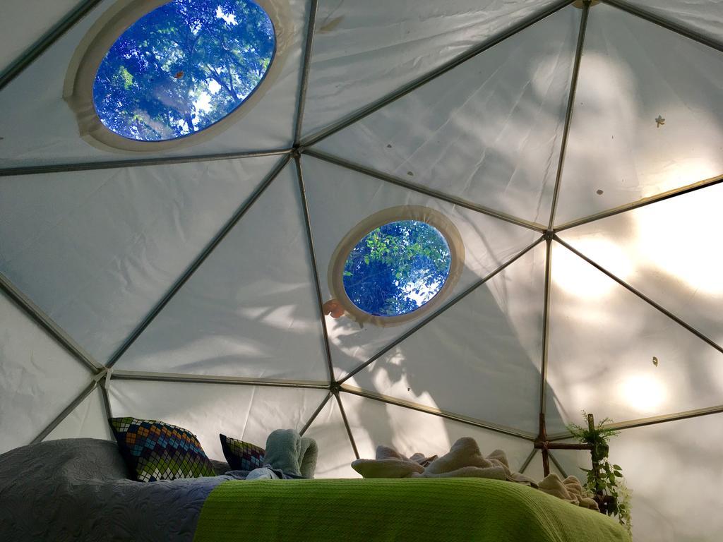 מלון מנסניו Faith Glamping Dome Costa Rica מראה חיצוני תמונה
